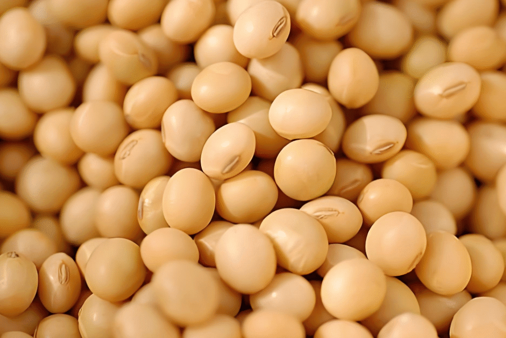 The Complete Guide to Producing High-Protein Fish Feed: From Ingredients to Extrusion - puffed snack food extruder machine