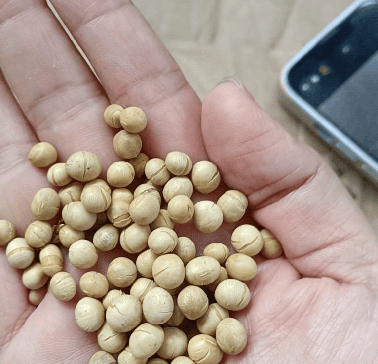 What Are the Applications of Electromagnetic Roasting Machines? A Complete Guide to Their Uses Across Different Industries - puffed snack food extruder machine